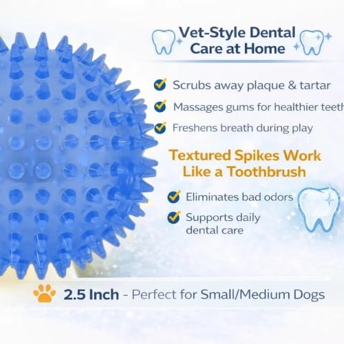 Squeaky Spiky Dog Ball for Teeth Cleaning & Gum Massage 2.5 Inch Small Medium Dogs Blue | Spiny TPR Rubber Chew Toy for Fetch Play Interactive Bouncy Dental Ball Durable BPA Free Nontoxic Floats - size: Blue Ball 1-Pack