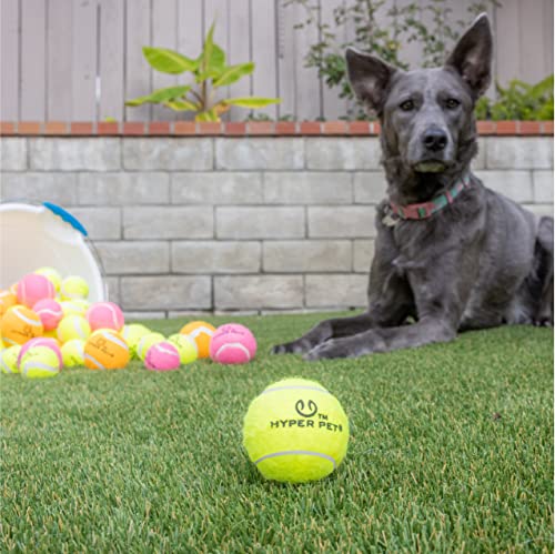 Hyper Pet Tennis Balls for Dogs, 12 Pack 2.5 Inch with Mesh Bag, Durable - color: Green, size: Regular 2.5" - 12 Pack