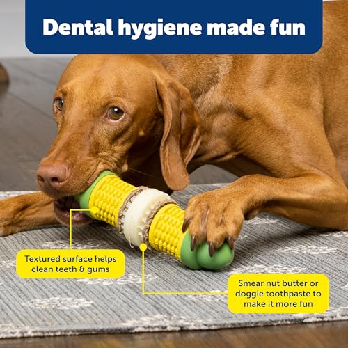 PetSafe Busy Buddy Cravin Corncob Treat Holding Dog Toy, Medium/Large - size: Medium/Large