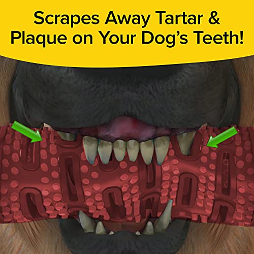 BulbHead Bonanza Bone Toothbrush, Infused with Real Bacon Flavor – Dogs Brush Chewing, Plaque and Tartar Remover for Teeth, Works 3 Ways to Clean While They Play, 8 in. x 2 in, Red - color: Brush Bone Bacon, size: 1 Count (Pack of 1)
