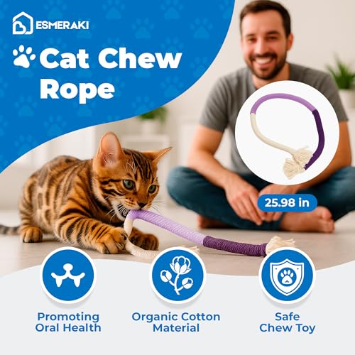 Flexible Cat Scratcher 5-Piece Bundle, Interactive Ball Track Cat Toy