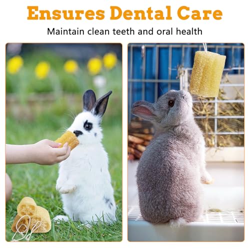 4 Pcs Rabbit Chew Toys Natural Bunny Loofah Chew Toy Chinchilla Teeth Grinding Toys Guinea Pig Fibre-Rich Treats Enrichment Bunny Accessories for Rabbits Hamster (L) - color: L- (4 PCS)