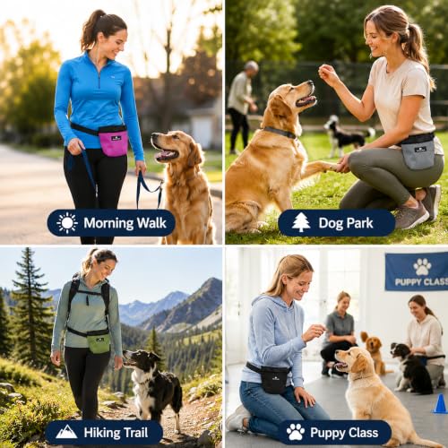Dog Treat Pouch for Training, Magnetic Closure, Hands-Free (Gray) - color: Grey