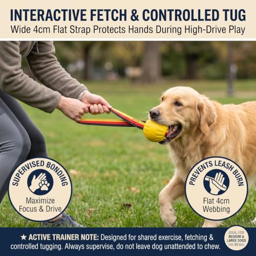Dog Ball on Strap, Floating EVA Fetch Toy for Large Dogs 45+ lb - size: Large