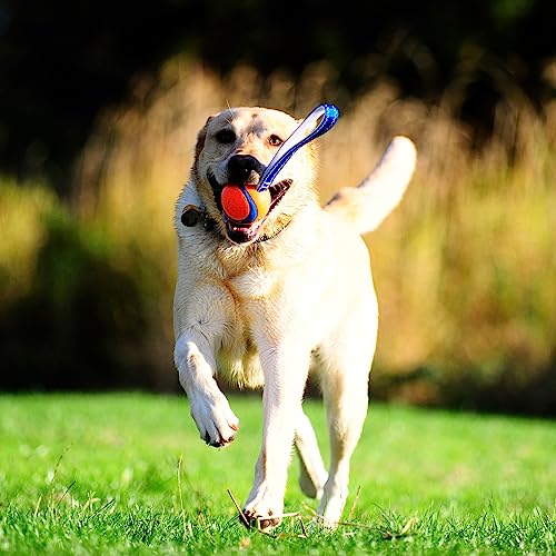Chuckit! Ultra Tug Dog Toy - Ultra Ball on a Durable Nylon Cord Handle - Fetch and Tug-of-War Toy for Dogs - for Breeds 60-100 lbs - 3-inch Diameter - Orange and Blue Large (Pack of 12) - size: Large (Pack of 12), style: Ultra Tug