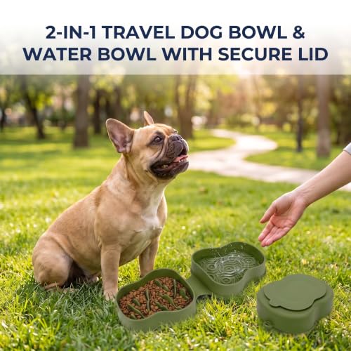 Collapsible Dog Travel Bowl with Lid, Slow Feeder (Green) - color: green