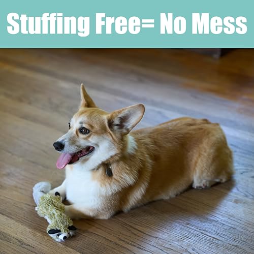 SPOT Skinneeez Raccoon 14 Inch Stuffing-Free Plush Dog Toy – Soft, Mess-Free Toy with One Squeaker for Small & Medium Dogs, Best for Light to Moderate Chewers (Pack of 2) - style: Mini Raccoon