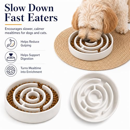 Ceramic Slow Feeder Dog Bowl 1.5 Cup Puzzle Dish for Small Medium Dogs - color: Ceramic-White