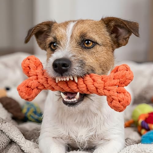 Orange Bone-Shaped Dog Rope Chew Toy, 1-Piece Set