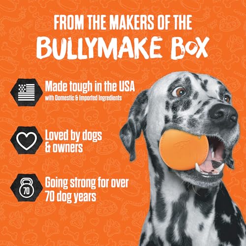BULLYMAKE Tough Chew Controller Dog Toy, Durable Nylon, Aggressive Chewers - style: Controller
