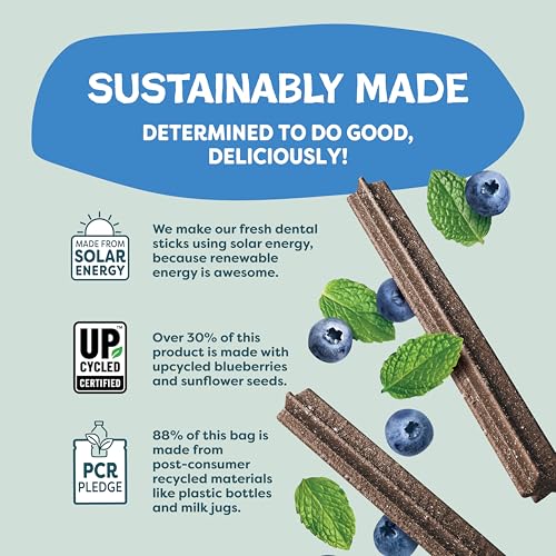 Shameless Pets Blueberry & Mint Dental Chews for Dogs, 8 Chews - size: 7.2 Ounce (Pack of 1)