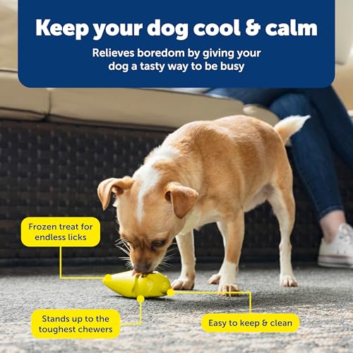 PetSafe Frosty Cone Dog Toys – Fill and Freeze Treat Holding Chew Toy – BPA Free Rubber – French Vanilla Scented – Interactive Pet Puzzle for Boredom or Separation Anxiety - size: Small (Pack of 1), style: Frosty Cone