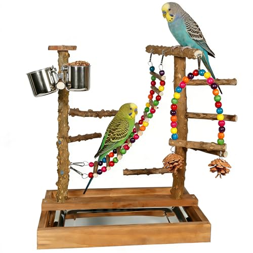 Natural Wood Bird Perch Stand Parrot Playground Play Gym - color: Brown