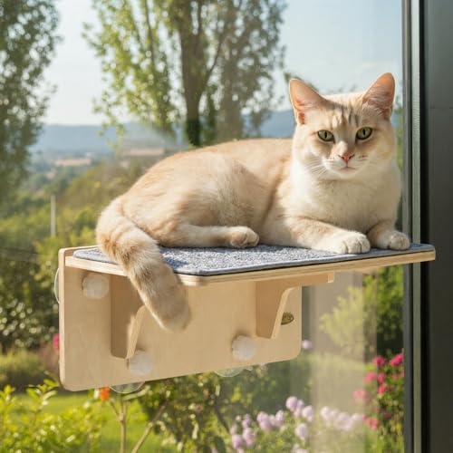 Pecute 2-in-1 Cat Window Perch & Wall Shelves, Cat Hammock Window 16"x10" - size: 15.7"L x 10.2"W