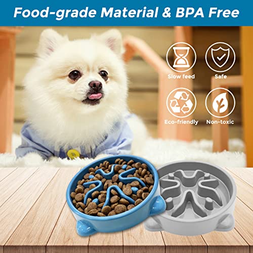 VANNON Slow Feeder Dog Bowls Non Slip Puppy Bowl Durable Dog Puzzle Feeder Bloat Stop Food Bowls for Puppy and Small Dogs, BPA Free, 1 Cup, Blue - color: B-Blue-Small-1Cup