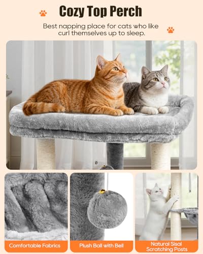 SYANDLVY Small Cat Tree for Indoor Cats with Top Perch Hammock & Bottom Bed - color: Grey