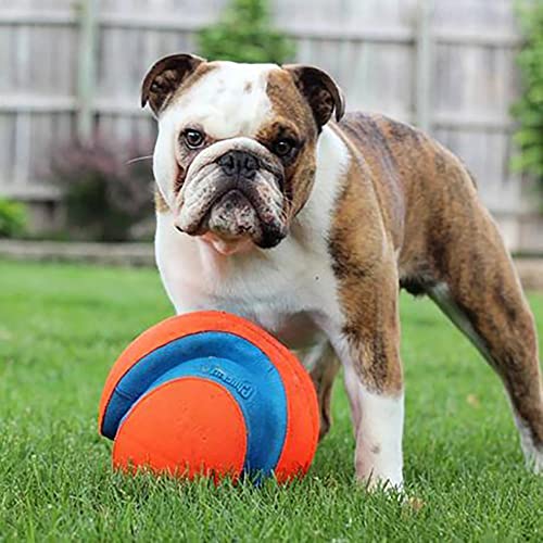 Chuckit! Kick Fetch Ball Dog Toy - Floats in Water - Perfect for Interactive Play - Made with Durable Rubber and Foam - for Large Dogs - Size Large - 8-inch Diameter - 1 Count (Pack of 4) - size: Large (Pack of 4), style: Classic