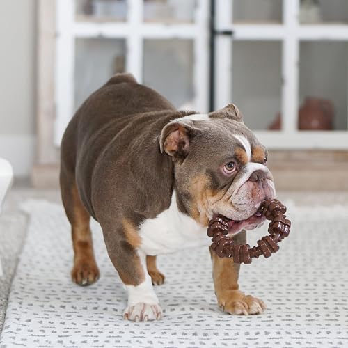 Nylabone Power Chew Customer Favorites Dog Chew Toys, 3 Count, Large - color: Bundle, size: Large