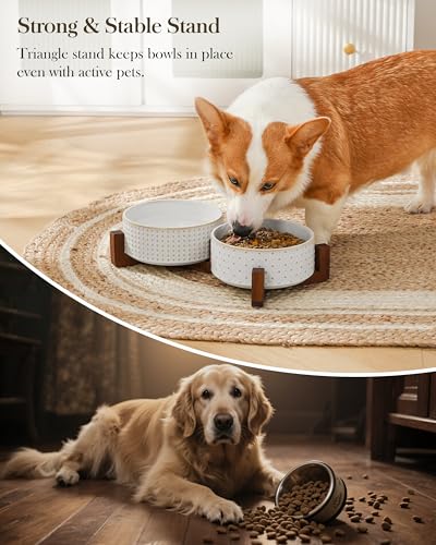 MALACASA Dog Bowl Set, Ceramic Bowls with Walnut Wood Stand, 4 Cups - color: Rhombic+Polka Dots, size: 4 Cups