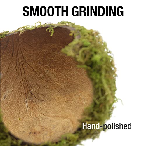 Hamster Hideaway/Hideout,Mossy Cave Hide,Hamster House/Hides,Hamster Cage Accessories for Gguinea Pig/Hedgehogs/Gliders/Rats/Mice and Other Small Animals(Set) - size: Cave, Set