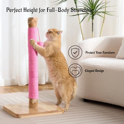 29" Tall Solid Wood Cat Scratching Post for Indoor Cats, Extra Stable Heavy Base, Natural Sisal Scratcher with Hanging Ball, Furniture Protector for Kittens & Adult Cats, Pink - color: Pink