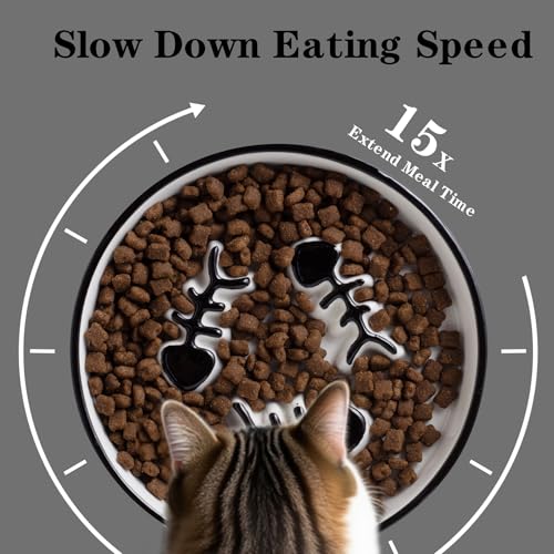 Ceramic Cat Bowls Set, Whisker-Friendly Feeding Dishes, Wet & Dry Food, 2-Pack - color: 2PCS Black Plates