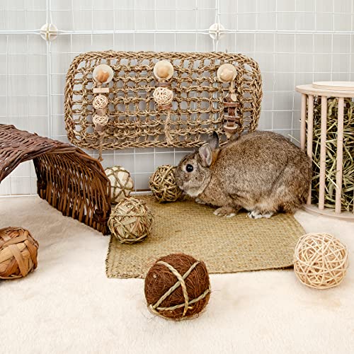 andwe Small Animals Play Activity Balls Rolling Chew Toys(Pack of 8) - size: Pack of 8