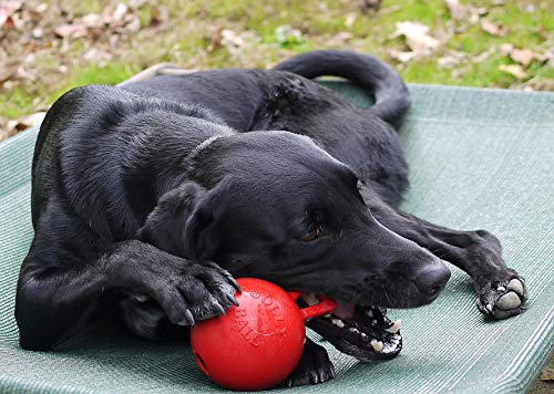 Jolly Pets Tug-n-Toss Heavy Duty Dog Toy Ball with Handle, 4 Inches/Petite, Red - color: Red, size: 4 inches/Petite