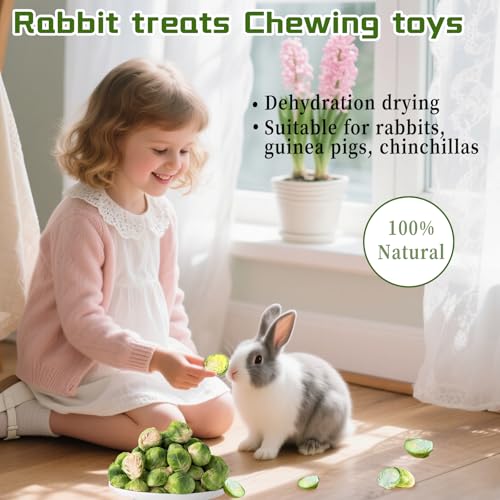 Hamiledyi Rabbits Chew Treats Dried Brussels Sprouts & Papaya for Guinea Pigs Chinchillas Hamsters Bunny Natural Small Animal Chew Toys for Teeth Grinding Foraging Treats (10 OZ)