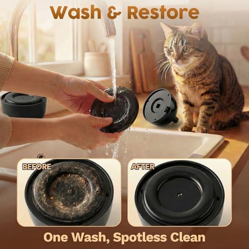 Interactive Cat Toys for Indoor Cats, 360° Automatic Spin Flying Bird Wand - color: Black