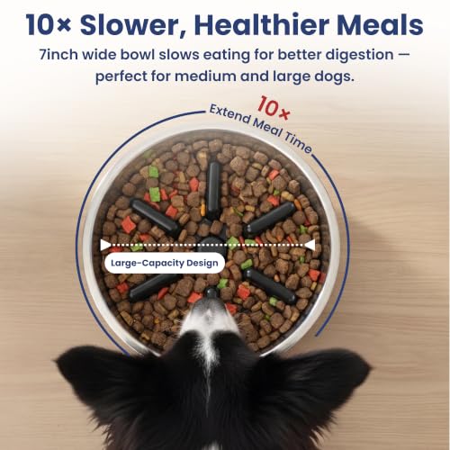 PawsPik Stainless Steel Double Wall Slow-Feed Puzzle Dog Bowl, 64-oz, Black - color: Eclipse Shadow Black