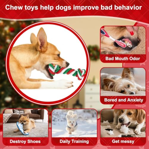 SZEE Dog Rope Toys 2 Pcs - Christmas - color: Christmas, size: Small