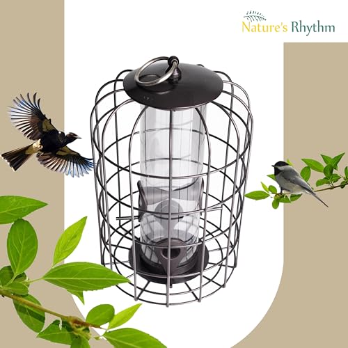 Nature's Rhythm Outdoor Hanging Bird Feeder Cage PC Tube Squirrel Proof Wild Bird Feeder with Large Metal Seed Guard Deterrent Green - size: PC Tube Bird Feeder