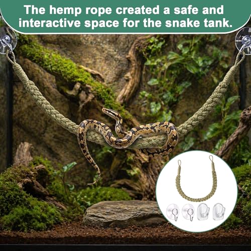 1 Set Green Snake Climbing Rope, Ball Python Tank Accessories with 2 Suction Cups & 2 Horn Hooks, 1.9cm Height Snake Enclosure Accessories for Ball Python Enrichment