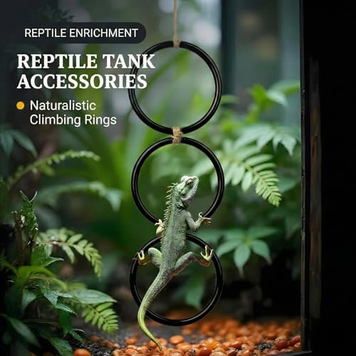 2PCS Snake Climbing Rings for Ball Python - Enrichment Toys for Corn Snake
