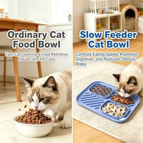 AZY 3-Piece Slow Feeder Cat Bowl Set with Strong Suction Cups - color: blue