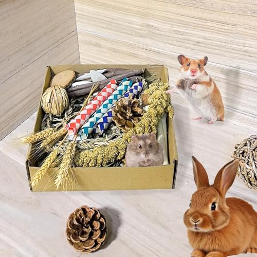 Hamster Toys Box for Chewing&Teeth Grinding Natural Hamster Treats for Chinchilla Rat Hamster Bunny and Other Small Pets (Small) (Pack of 2) - size: Small (Pack of 2)