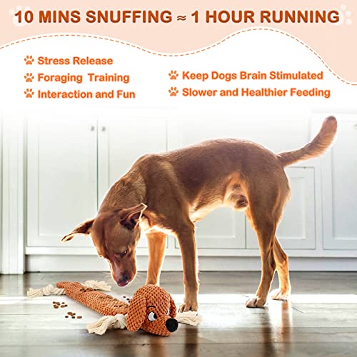 Letsmeet Dog Toys,Squeaky Dog Chew Toy with Crinkle Paper,Interactive Tough Plush Rope Toys for Small Medium Large Dogs with Gift Boxes - style: Dog