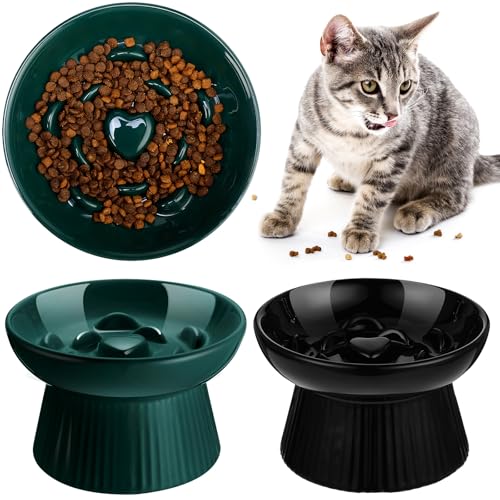 Tioncy 2 Pcs Ceramic Elevated Slow Feeder Cat Bowl, Dark Green, Black - color: Dark Green, Black