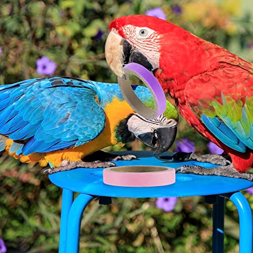 Jenaai 24 Pcs Chew Bagels Bird Toys for Parrots 2.4 Inch Wood Bird Chew Toys Colorful Cardboard Foraging Chew Foot Wooden Training Toy for Cockatiels Cockatoos Macaws and Similar Sized Pet Birds