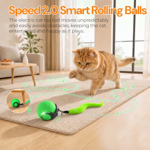 Interactive Cat Toys with Bird Sounds & 6 Speed Modes for Indoor Cats Play - color: A2 Green