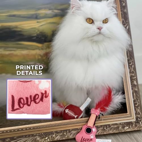 Haute Diggity Kitty Era Tour Guitar + Football Set, Soft Plush Cat Toys - color: Multi - Kitty Guitar + Plush Football Duo