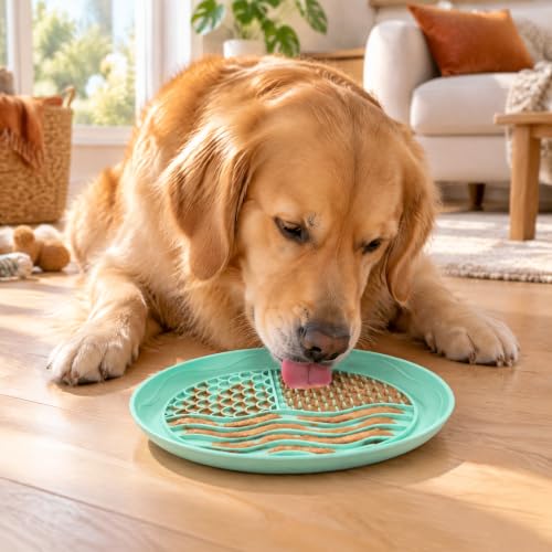 Dog Lick Mat, Dual Texture Slow Feeder with Suction Cups, 2 Pack