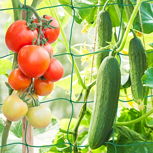 KINGLAKE GARDEN Trellis Netting for Climbing Plants Garden Plant Netting