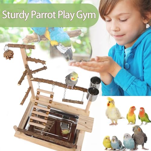 Bird Playground, Parrot Perch Stand, Natural Wood Bird Play Stands for Cockatiel Wood Perch Gym Playpen Ladder with Removable Tray and 2 Stainless Steel Cups, Bird Cage Accessories, Parrot Swing - color: Borown