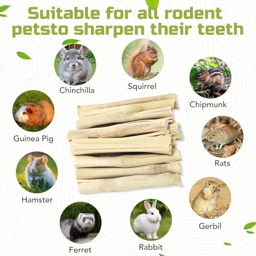 0.95Lb/430g Natural Sweet Bamboo Chew Toys for Rabbit Chew Sticks - size: 0.95lb(430g)