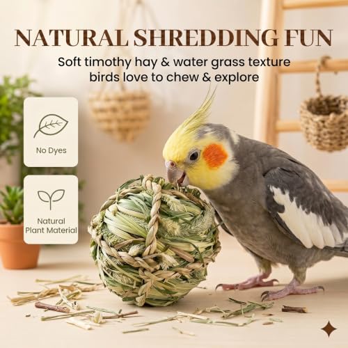 Natural Woven Grass Balls Small Pet Chew Toys, Handmade Wooden Bird Parrot Hamster Rabbit Foraging Balls, Safe Shred Toys for Parakeet Cockatiel Guinea Pig Chinchilla, Timothy Grass Ball - style: Novelty