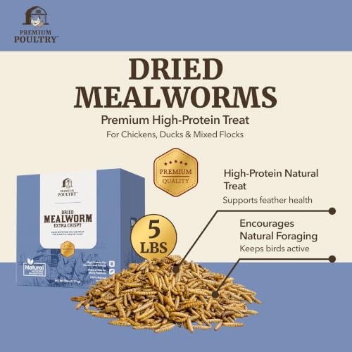 Mealworms for Chickens & Wild Birds,10 Lb - size: 10lb, style: Meal Worms