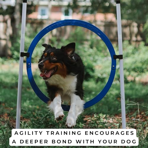 Better Sporting Dogs 4 Pack Adjustable Dog Agility Jumps