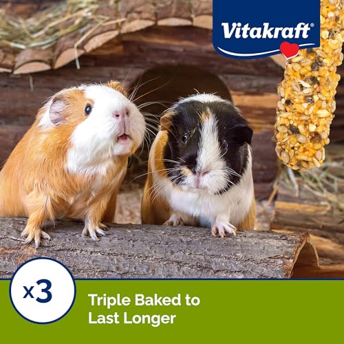 Vitakraft Guinea Pig Fruit & Honey Treat Sticks, 3.5 Ounce, Enriched Snack with Wooden Chew Core for Dental Health, 2 Count (Pack of 2) - size: 3.5 Ounce (Pack of 2)